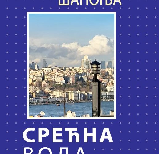 ОГЛЕДАЊЕ У СЕБИ И ДРУГОМЕ: „Срећна вода”, Ненаде Шапоње